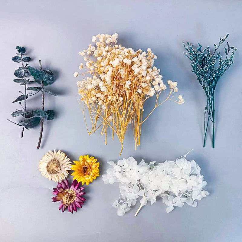 Embellishment Crafts - 1pack Multifarious Dried Flowers Set For