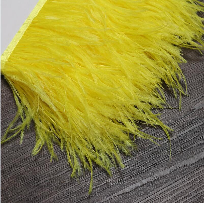 13-18CM 6M Ostrich Feather tri - Feather Trim Marabou avis et prix