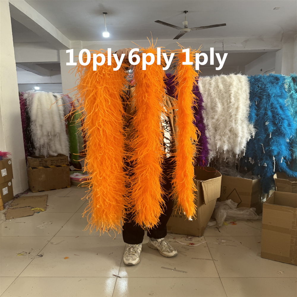 Natural Ostrich feather boa 1  - Feather Trim Marabou avis et prix