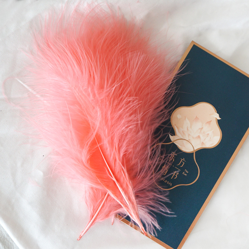 50Pcs Fluffy Turkey Marabou Fe - Feather Trim Marabou avis et prix