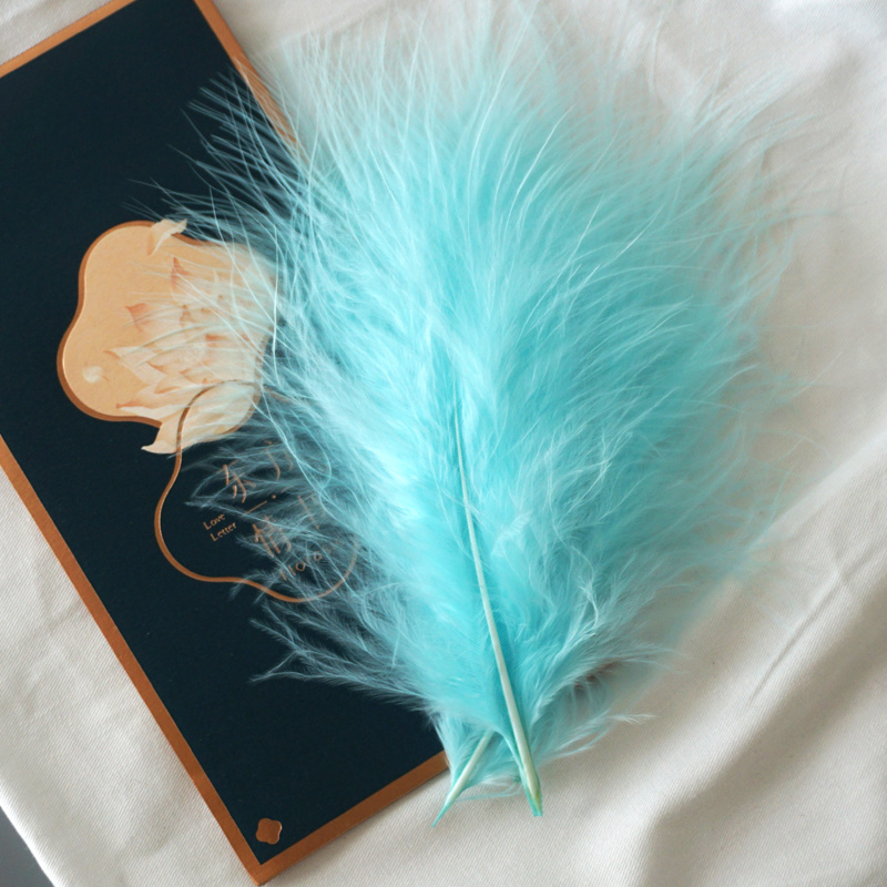 50Pcs Fluffy Turkey Marabou Fe - Feather Trim Marabou avis et prix