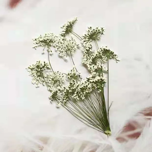 5-7cm/12pcs,Snow Tiny Flowers  - Craft Embellishments avis et prix