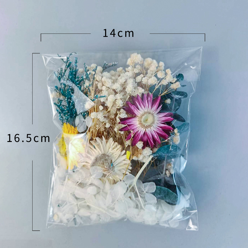 1pack Multifarious Dried Flowe - Embellishment Crafts avis et prix