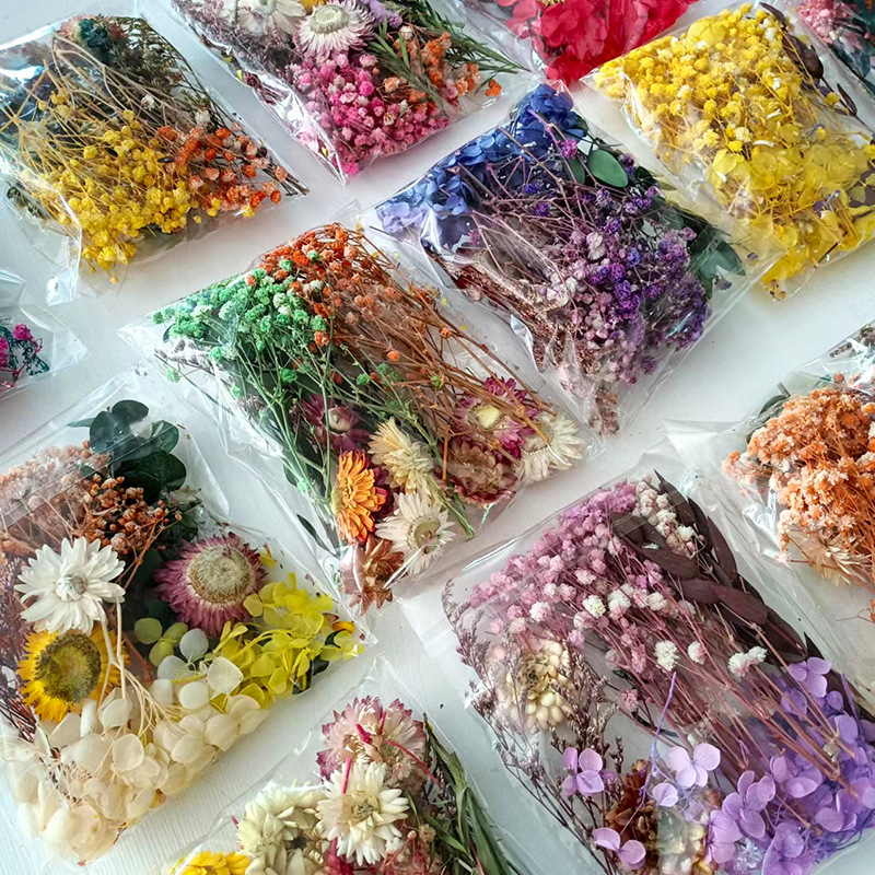 1pack Multifarious Dried Flowe - Embellishment Crafts avis et prix