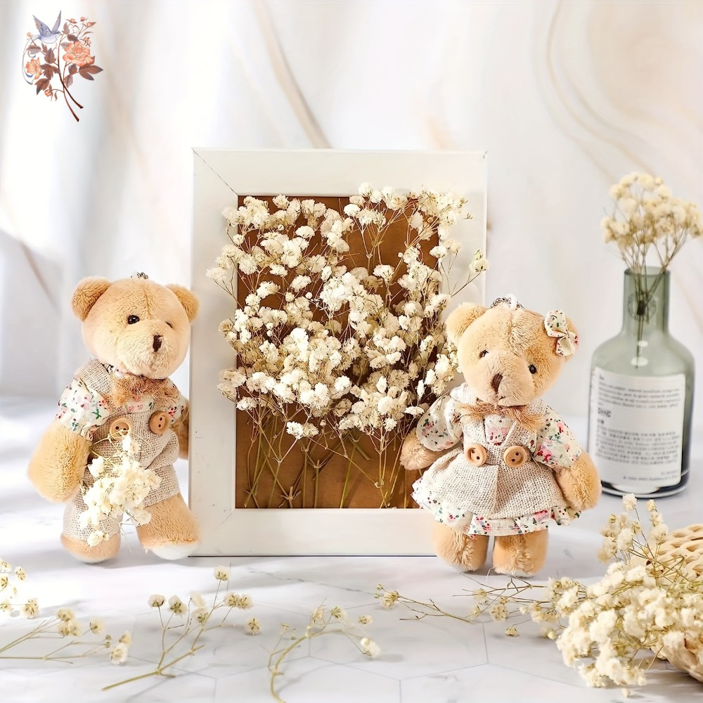 100pcs Mini Dried Baby's Breat - Embellishment Crafts avis et prix
